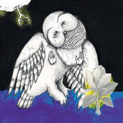 Song Ohia