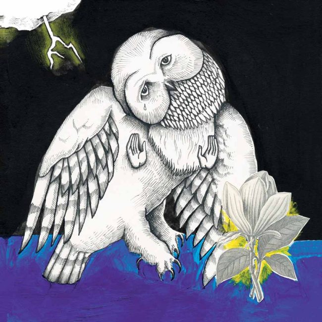 Song Ohia