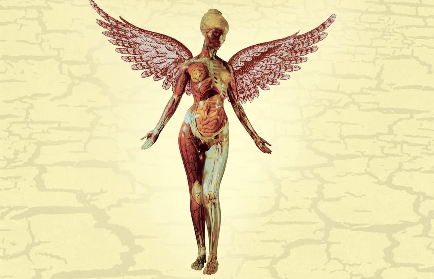La cover di “In Utero” dei Nirvana