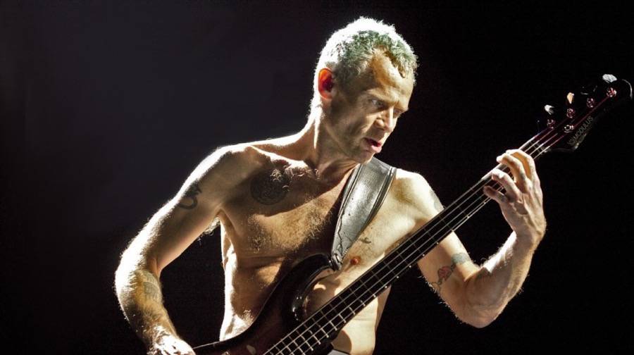 Flea