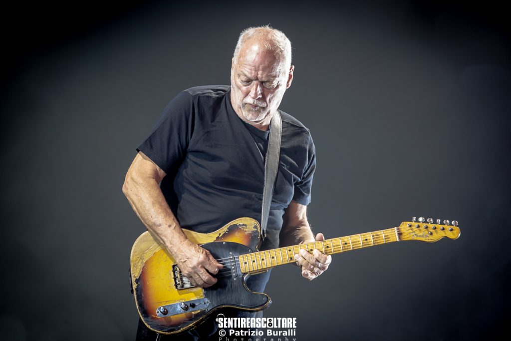 David Gilmour