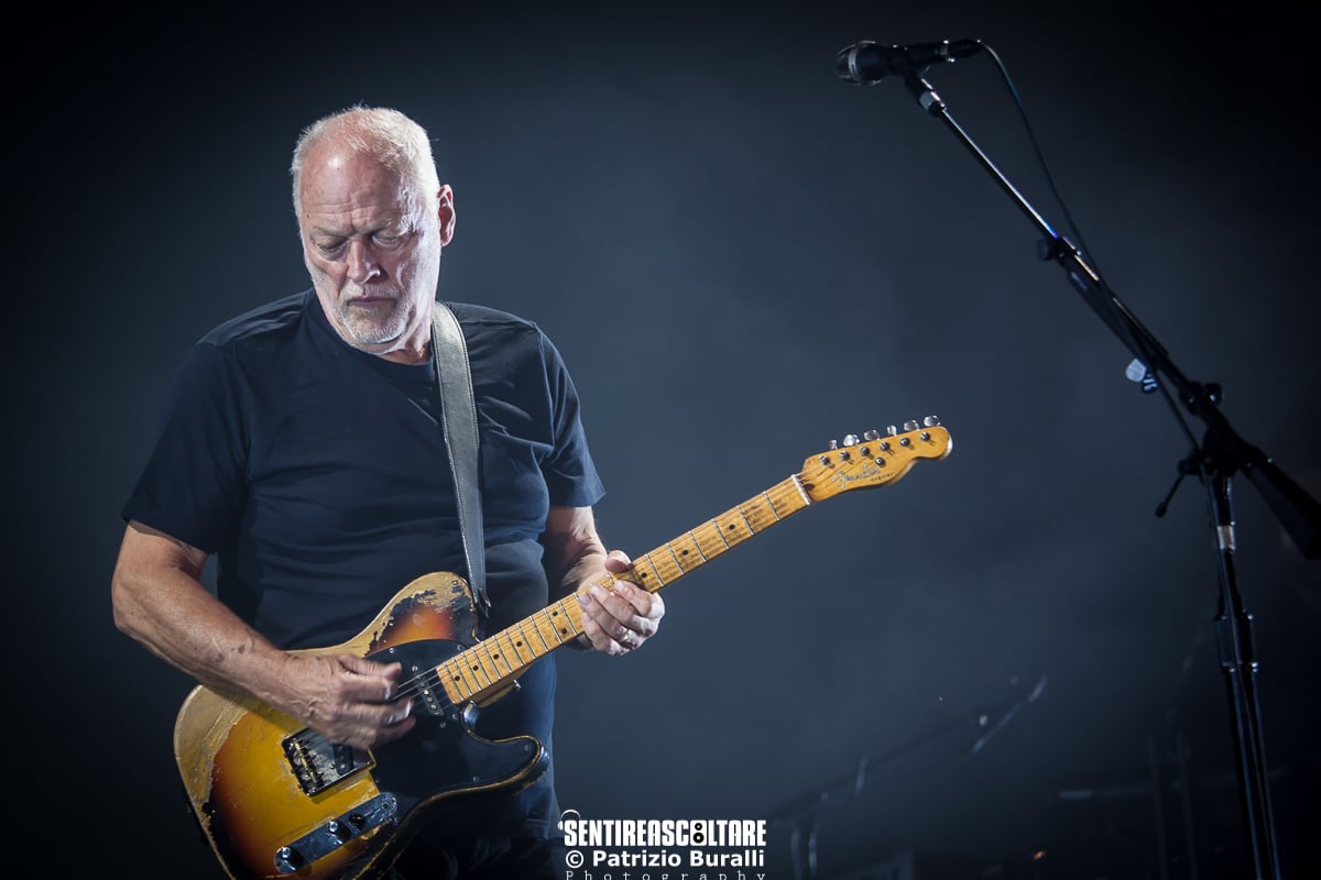 David Gilmour