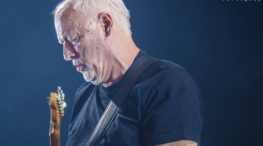 David Gilmour