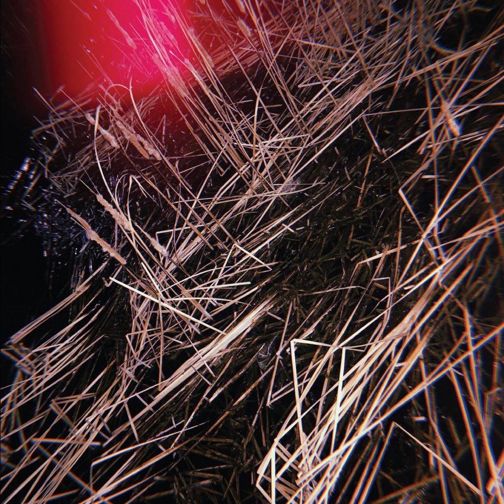 Kelly Moran Prurient