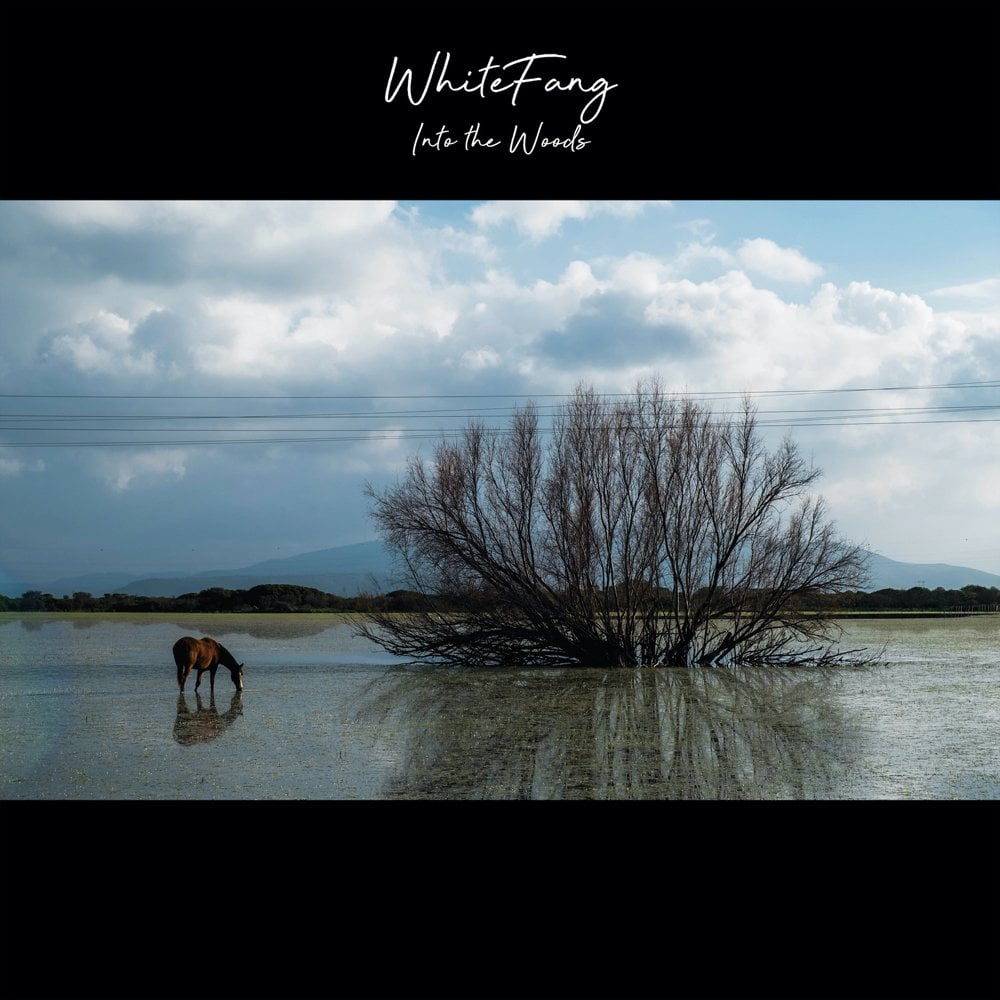 White Fang