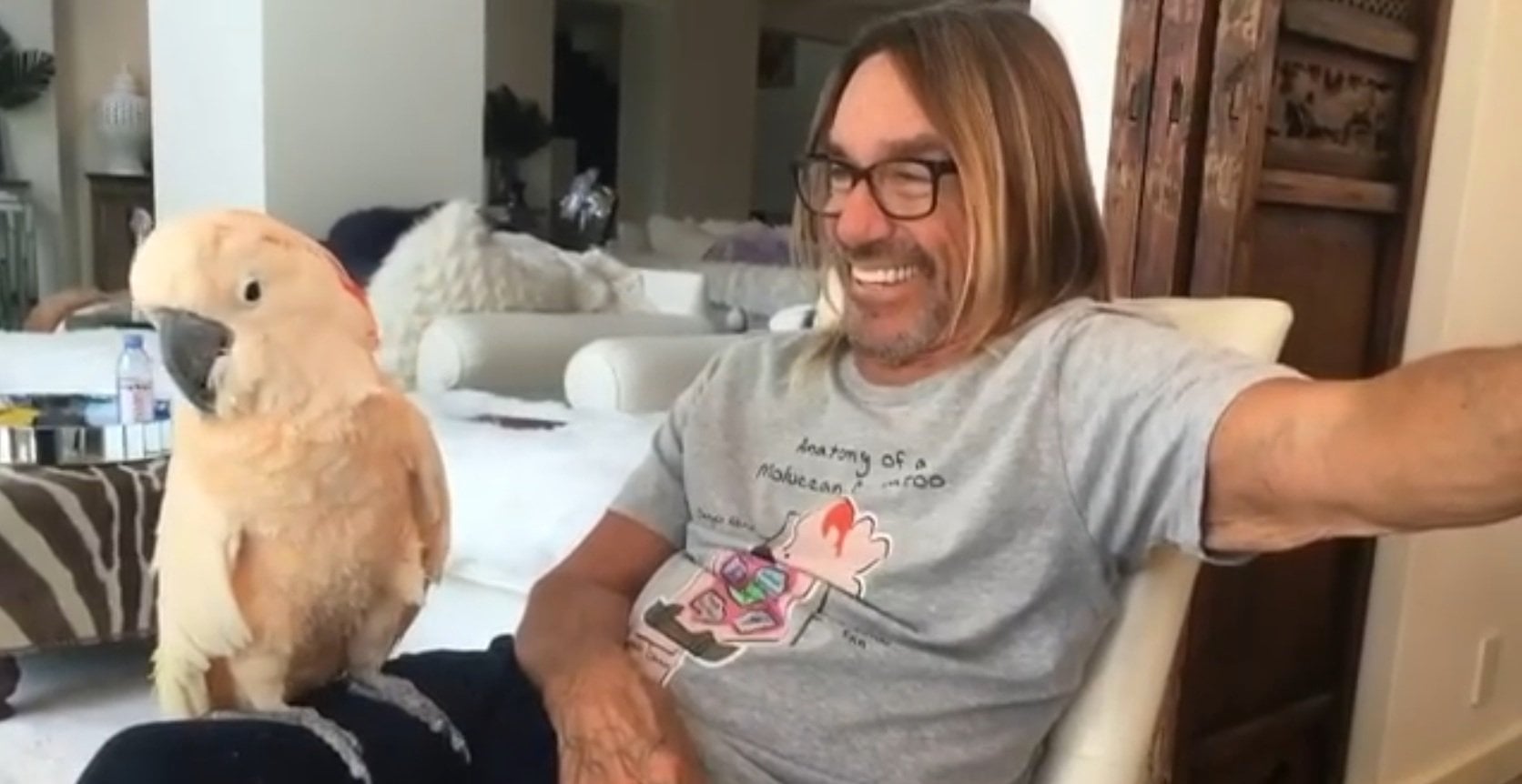 Iggy Pop
