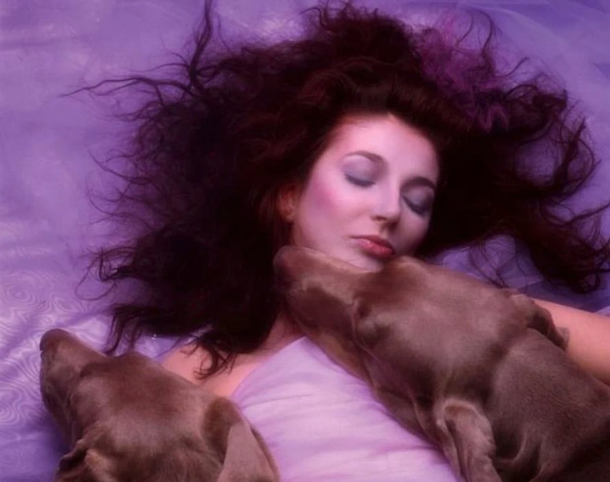 Kate Bush