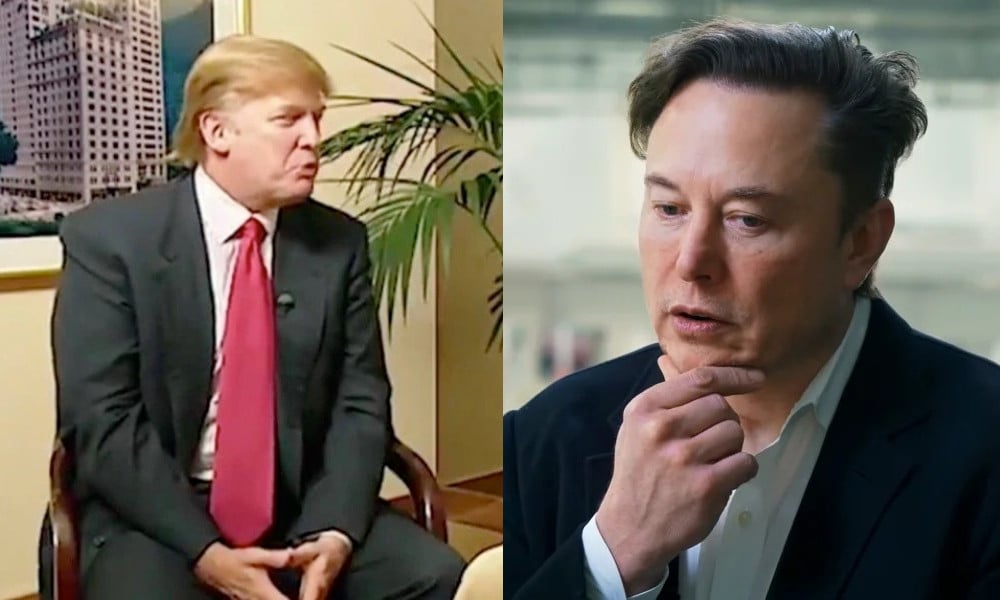 Donald Trump Elon Musk