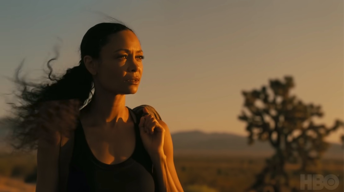Thandiwe Newton, Westworld