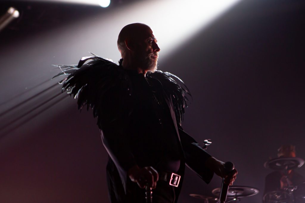 Peter Murphy, Bauhaus