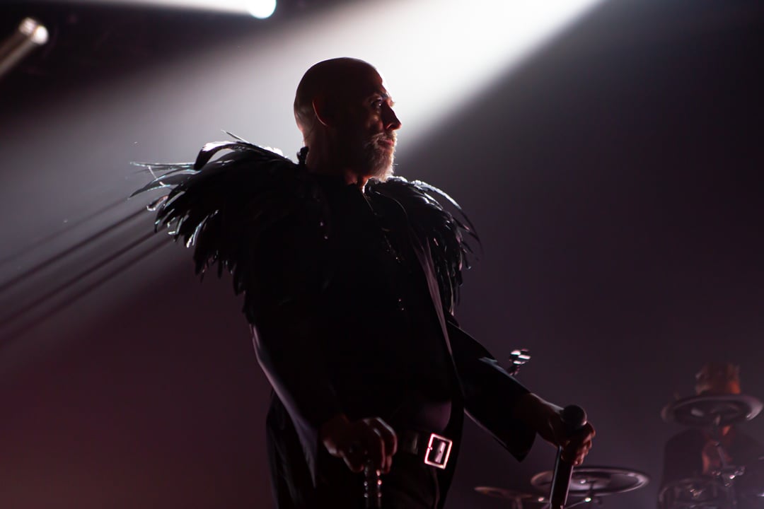 Peter Murphy, Bauhaus