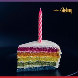 Ultimo della serie di studi ritmici che include anche gli album "Quixotism" e "Hubris", "Shebang" è il lavoro solista di Oren Ambarchi, in uscita a settembre 2022