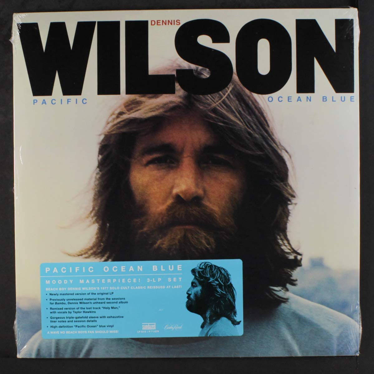 Dennis Wilson Pacific Ocean Blue Recensioni SENTIREASCOLTARE