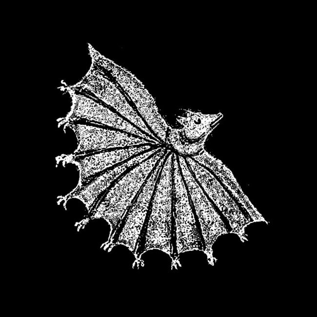 Xiu Xiu