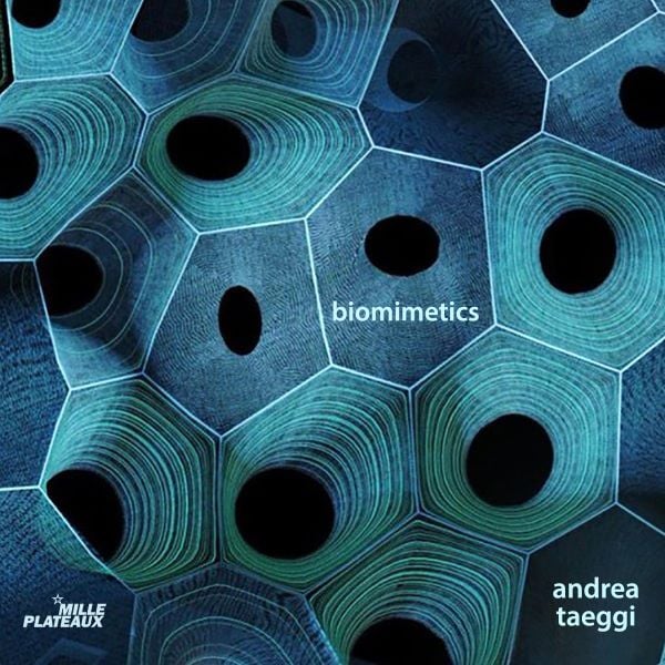 Andrea Taeggi - Biomimetics