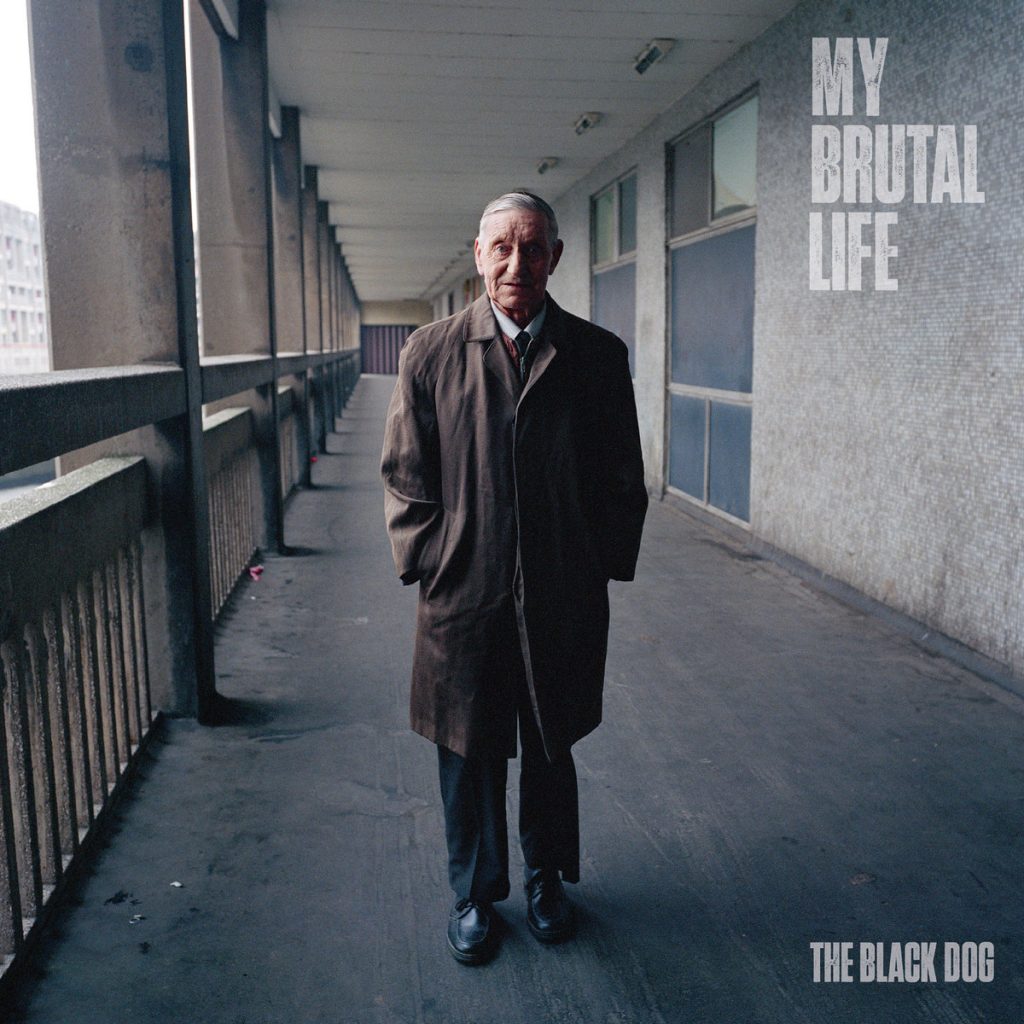 the black-dog-album-cover