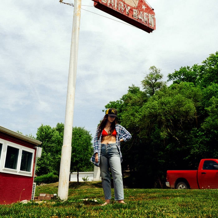 Waxahatchee – Tigers Blood, album cover