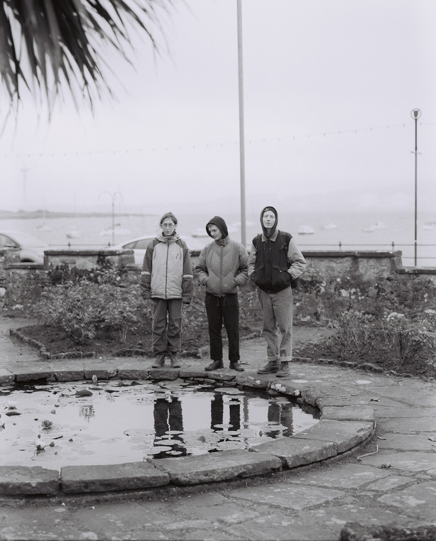 Still House Plants, foto di Peter Gajewski
