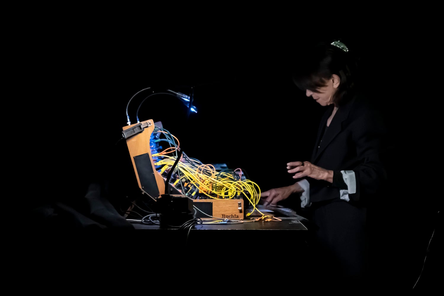 Suzanne Ciani