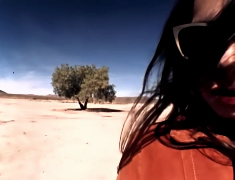 Hope Sandoval dei Mazzy Star