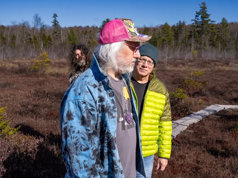 Dinosaur Jr