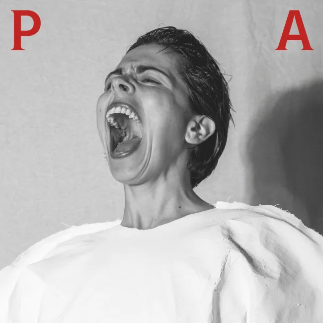 Anna Ferrer - PA